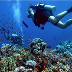 Application Fee for Diploma in Diving &amp; Marine Medicine
